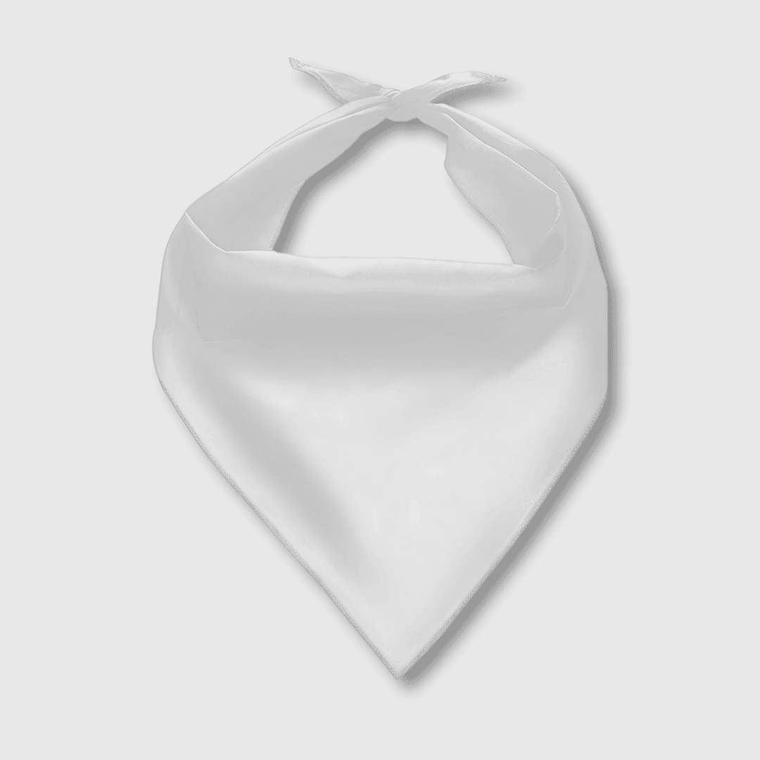 Custom Personalized Pet Bib – Practical Feeding Bib for Cats and Dogs, Everyday Use & Gift for Pet Lovers - 2