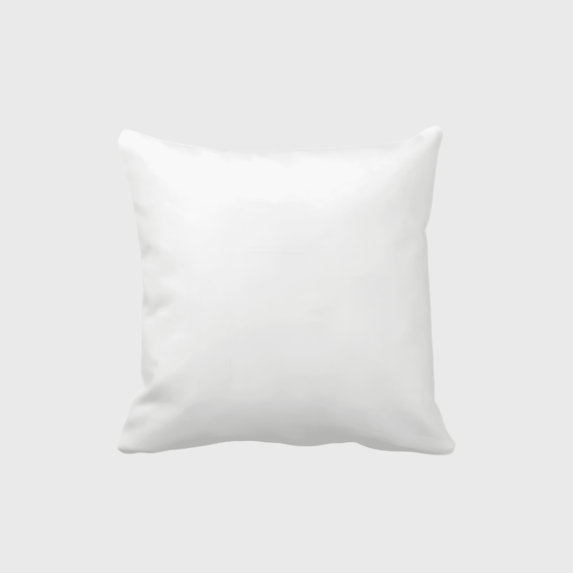 Luxury Double-Sided Satin Pillow - Image 1
