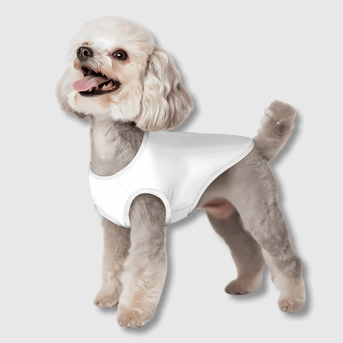 Custom Pet Summer Vest - Image 1