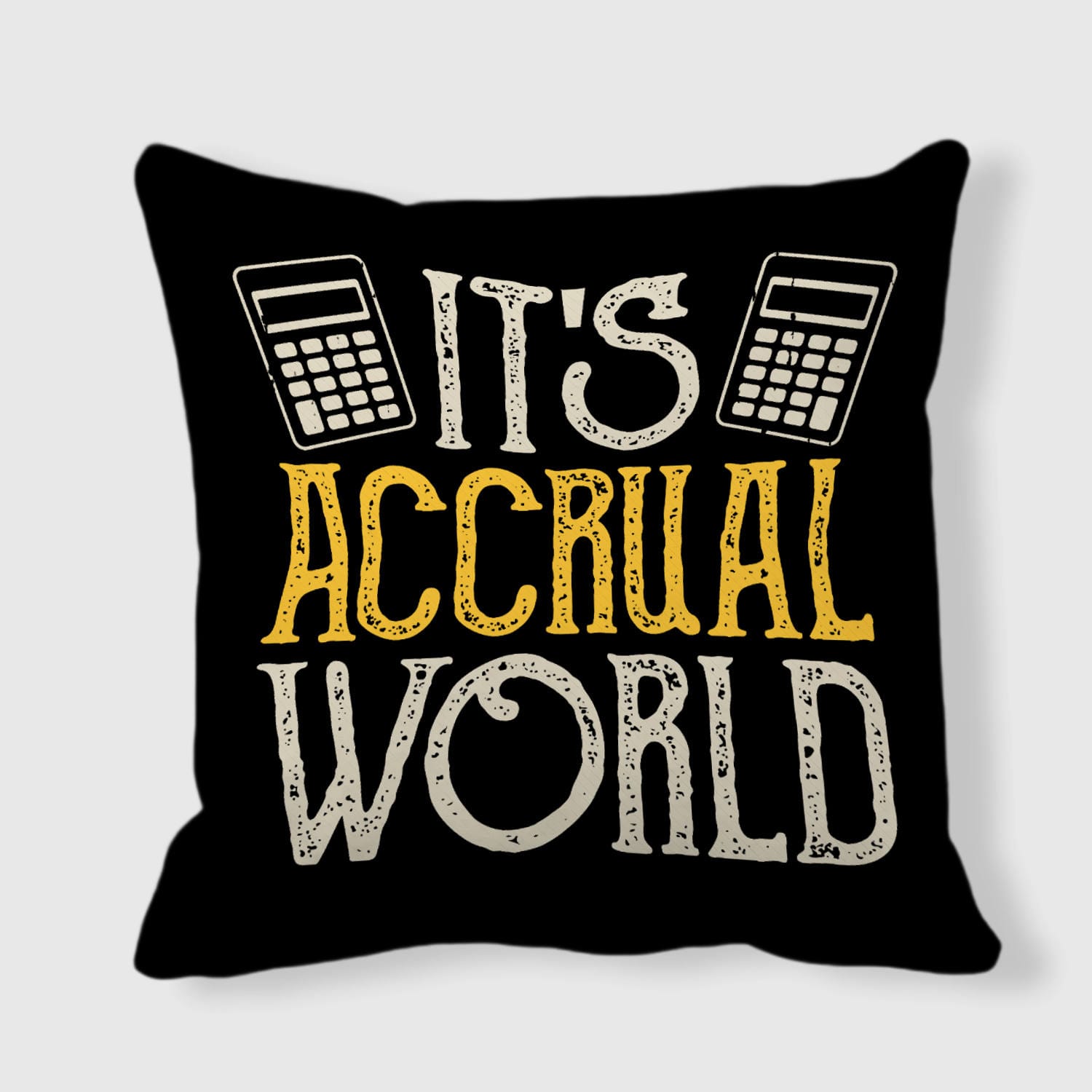 Funny Accounting Pun Throw Pillow for Accountants Gift