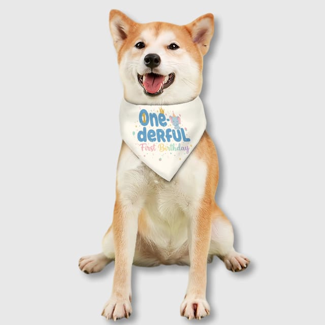 One-derful First Birthday Dog Bandana for Pet Gifts