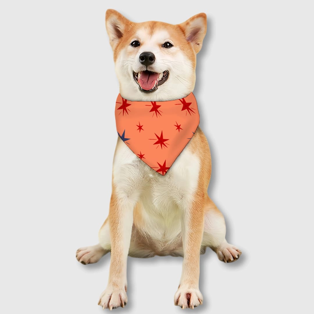 Custom Personalized Pet Bib – Practical Feeding Bib for Cats and Dogs, Everyday Use & Gift for Pet Lovers - 1