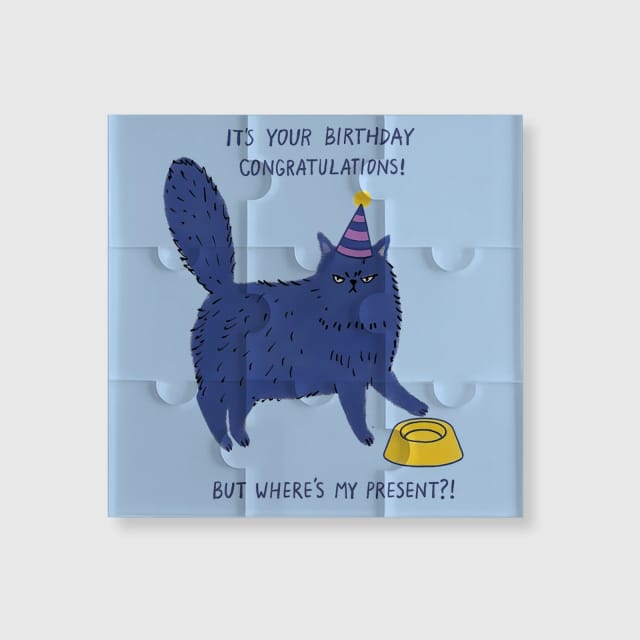 9-Piece Funny Grumpy Cat Fridge Magnet for Cat Lovers Birthday Gift