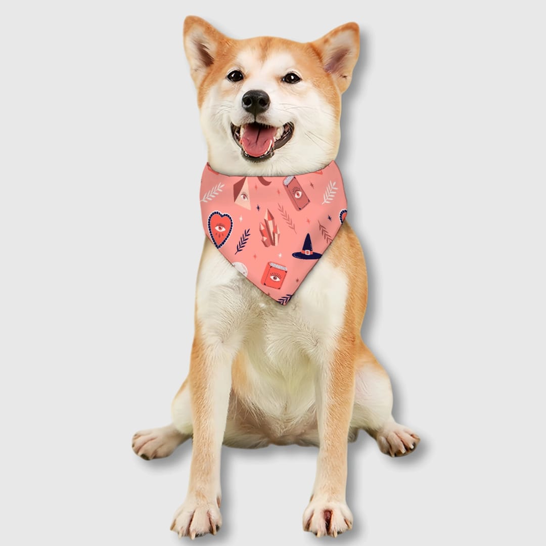 Custom Personalized Pet Bib – Practical Feeding Bib for Cats and Dogs, Everyday Use & Gift for Pet Lovers - 1