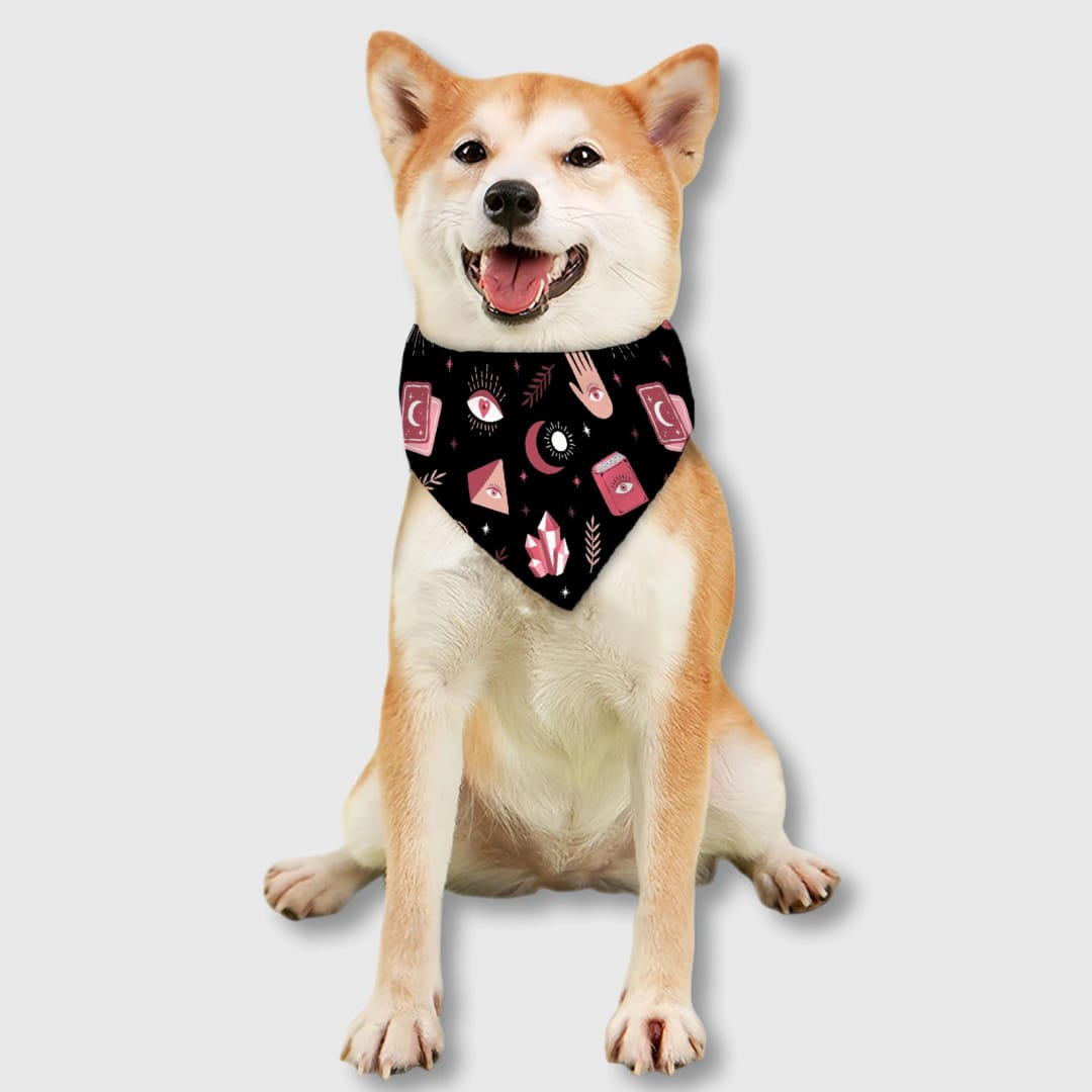 Custom Personalized Pet Bib – Practical Feeding Bib for Cats and Dogs, Everyday Use & Gift for Pet Lovers - 1