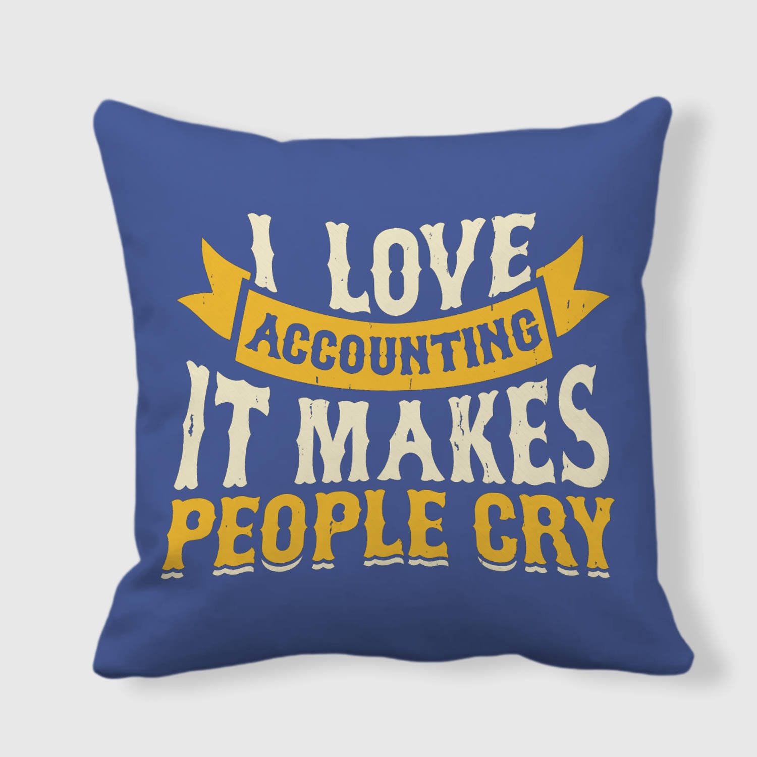 Sarcastic Accounting Pillow for Accountants Birthday Gift