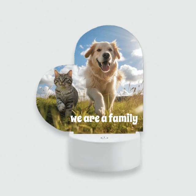 Custom Cat & Dog Acrylic Night Light for Pet Lovers Gift
