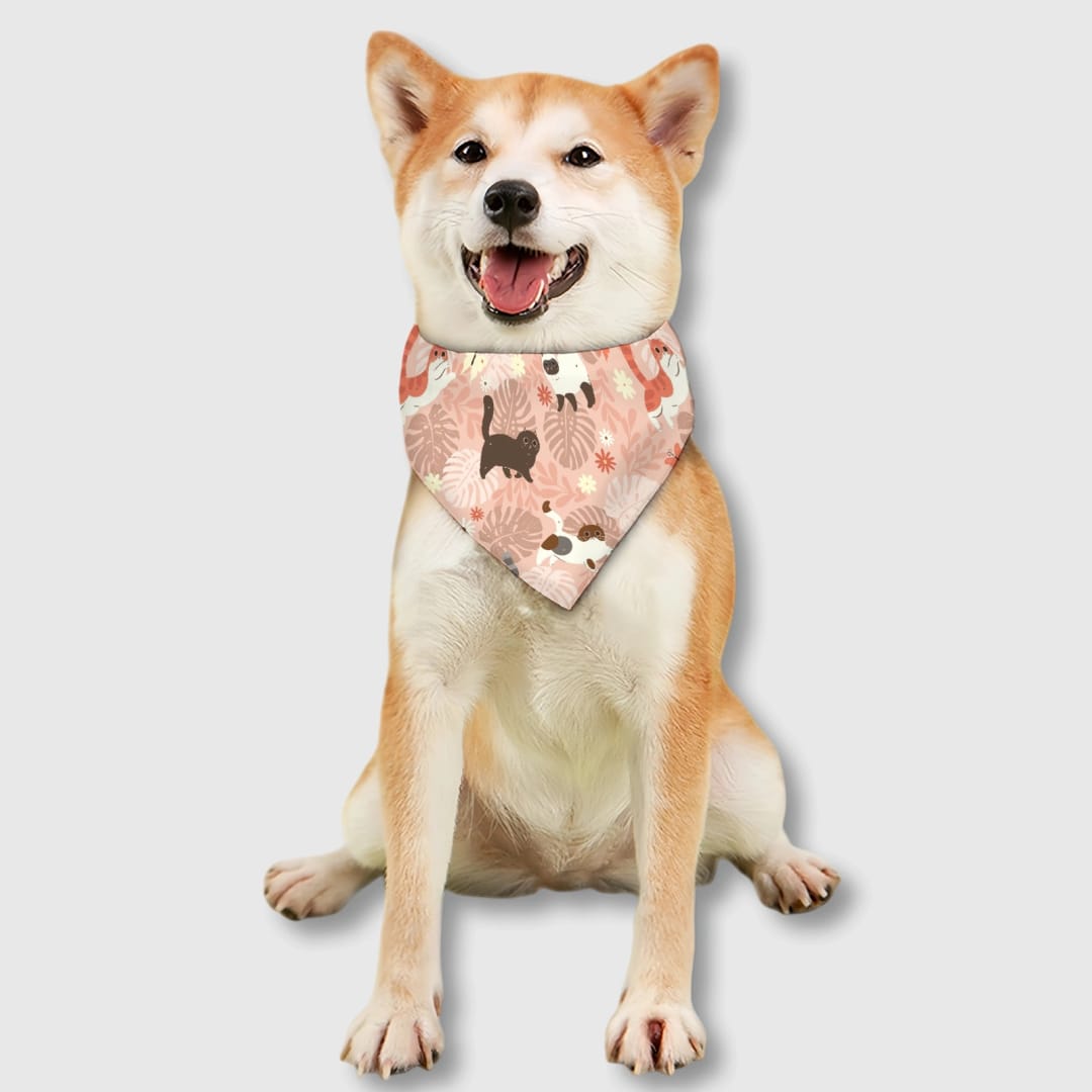 Custom Personalized Pet Bib – Practical Feeding Bib for Cats and Dogs, Everyday Use & Gift for Pet Lovers - 1