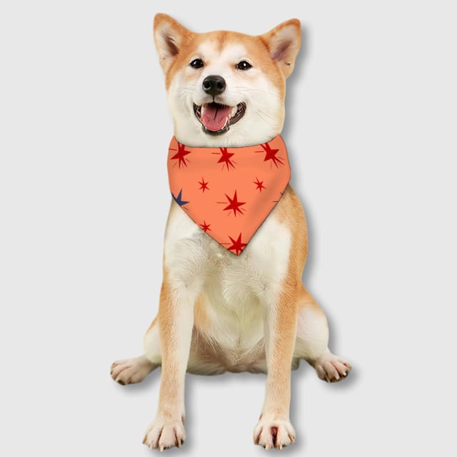 Custom Personalized Pet Bib – Practical Feeding Bib for Cats and Dogs, Everyday Use & Gift for Pet Lovers