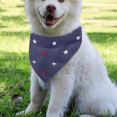 Pet Bandanas