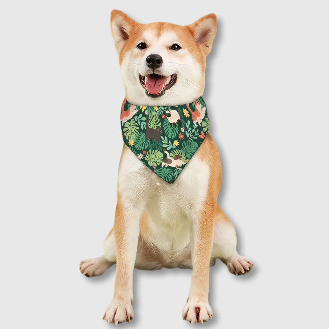 Custom Personalized Pet Bib – Practical Feeding Bib for Cats and Dogs, Everyday Use & Gift for Pet Lovers - 1